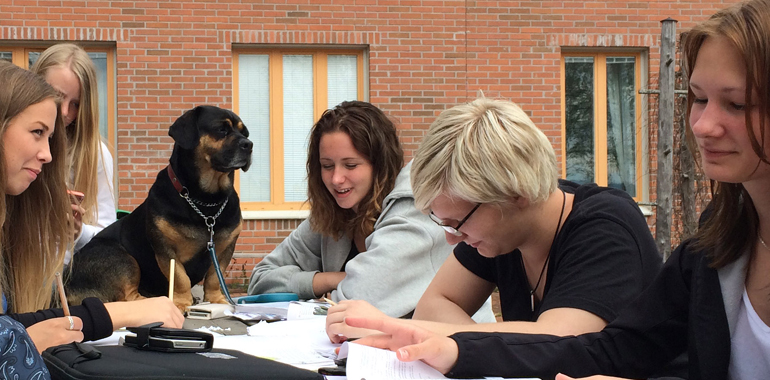 Elever med hund på lektion