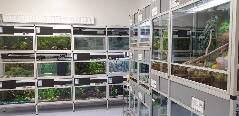 Rum med akvarier för fiskar och insekter